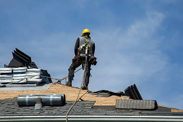 Professional Roof Replacement technician working in Forest City, FL